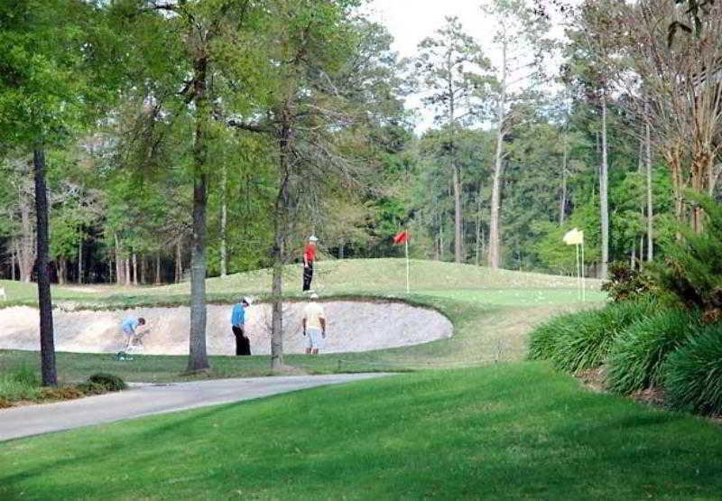 Heritage Place Houston Brookhollow Udogodnienia zdjęcie
